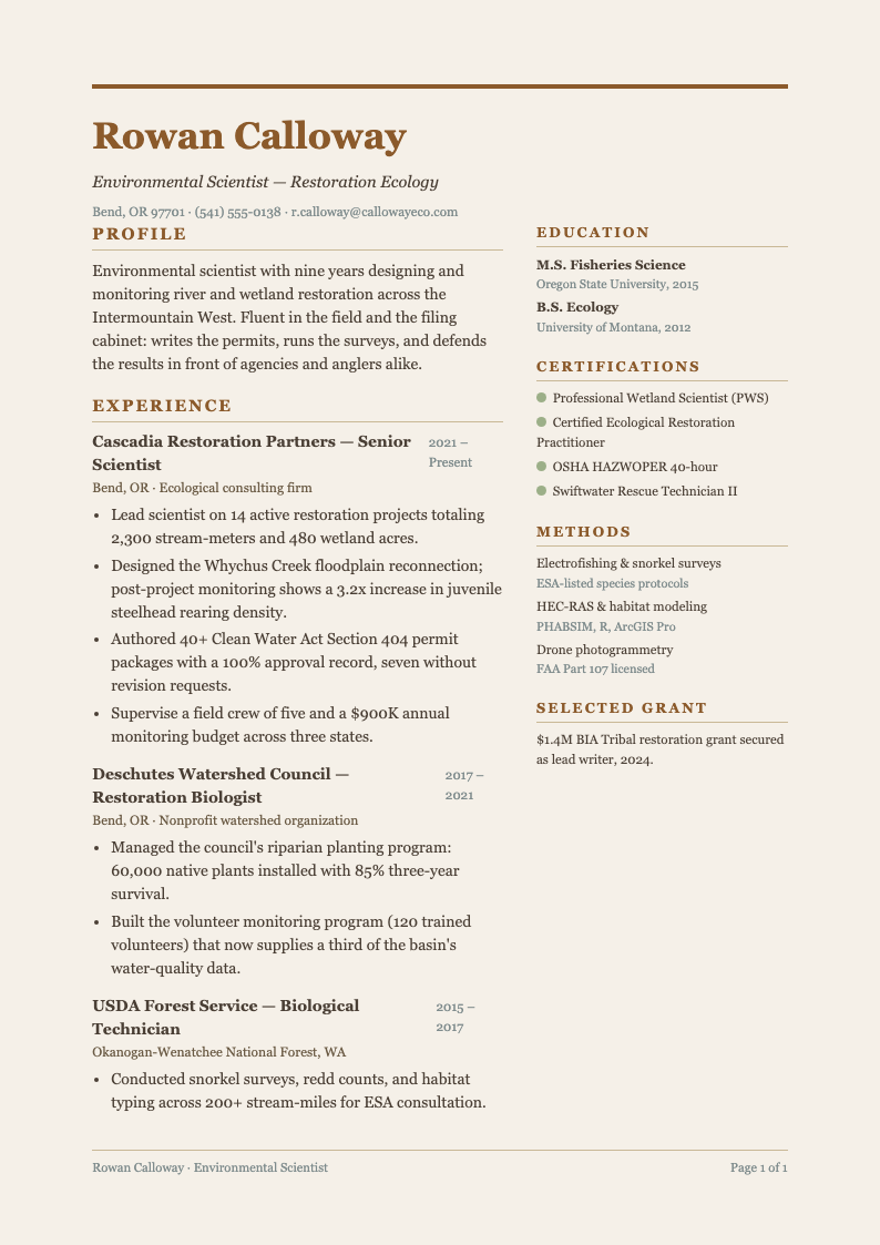 Earth tone resume